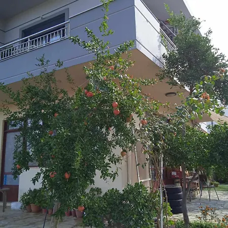 φοίνικας-palm Tree Apartment Rotasi